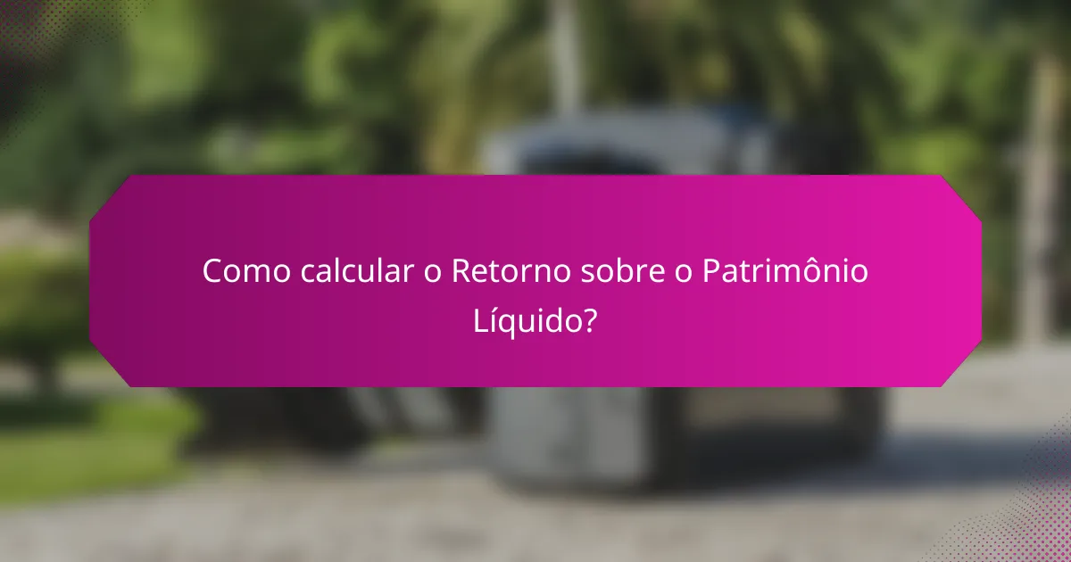 Como calcular o Retorno sobre o Patrimônio Líquido?