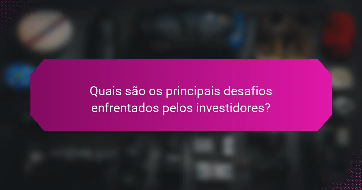 Quais são os principais desafios enfrentados pelos investidores?
