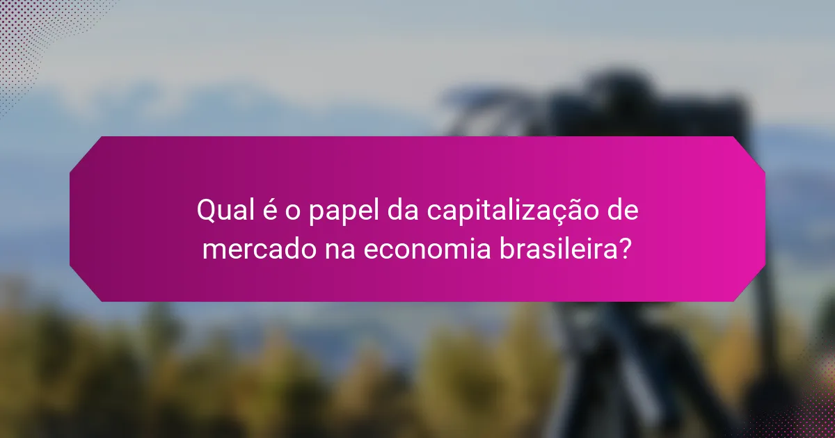 Qual é o papel da capitalização de mercado na economia brasileira?